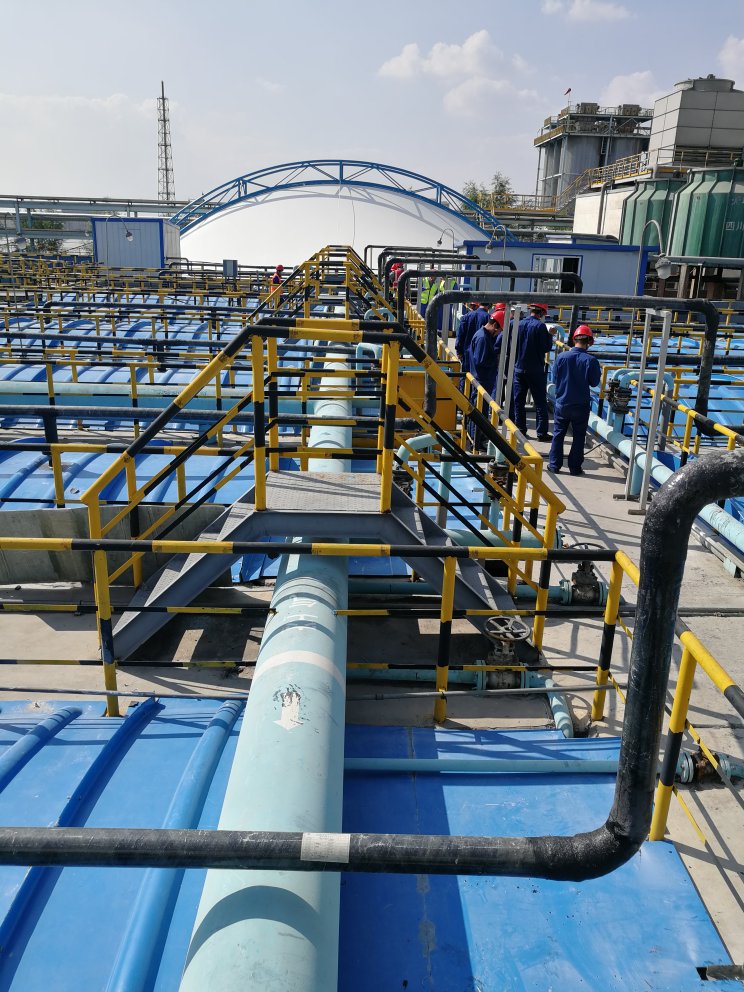 1539304300958554tY6w.jpg 大秦.jpg