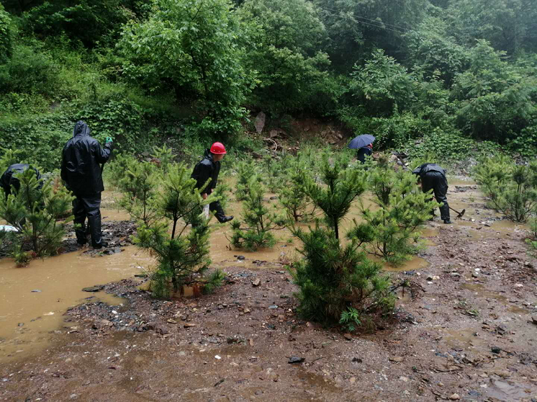 1561264273669282smDX.png 鼎豐.png