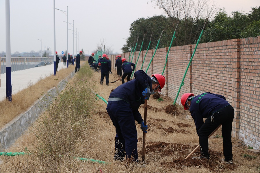 三秦公司下屬陜西省危廢處置中心組織開展“美化環境 綠色同行”植樹活動_2658.JPG