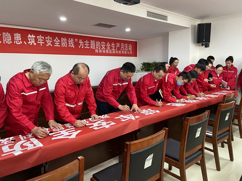 陜西保隆能源科技有限公司正式啟動“安全生產月”活動_副本.jpg