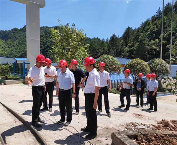 1655345693683538cZUP.jpg 商洛市委副書記趙曉寧到鼎豐礦業公司選礦廠項目調研3.jpg