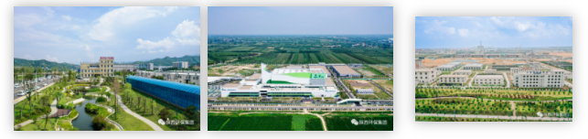 1660527735426281cmb0.png 1111.png