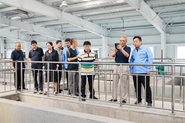 1660528757585490Q3SC.jpg 25b9230a977df44d75e6adba34af45e.jpg