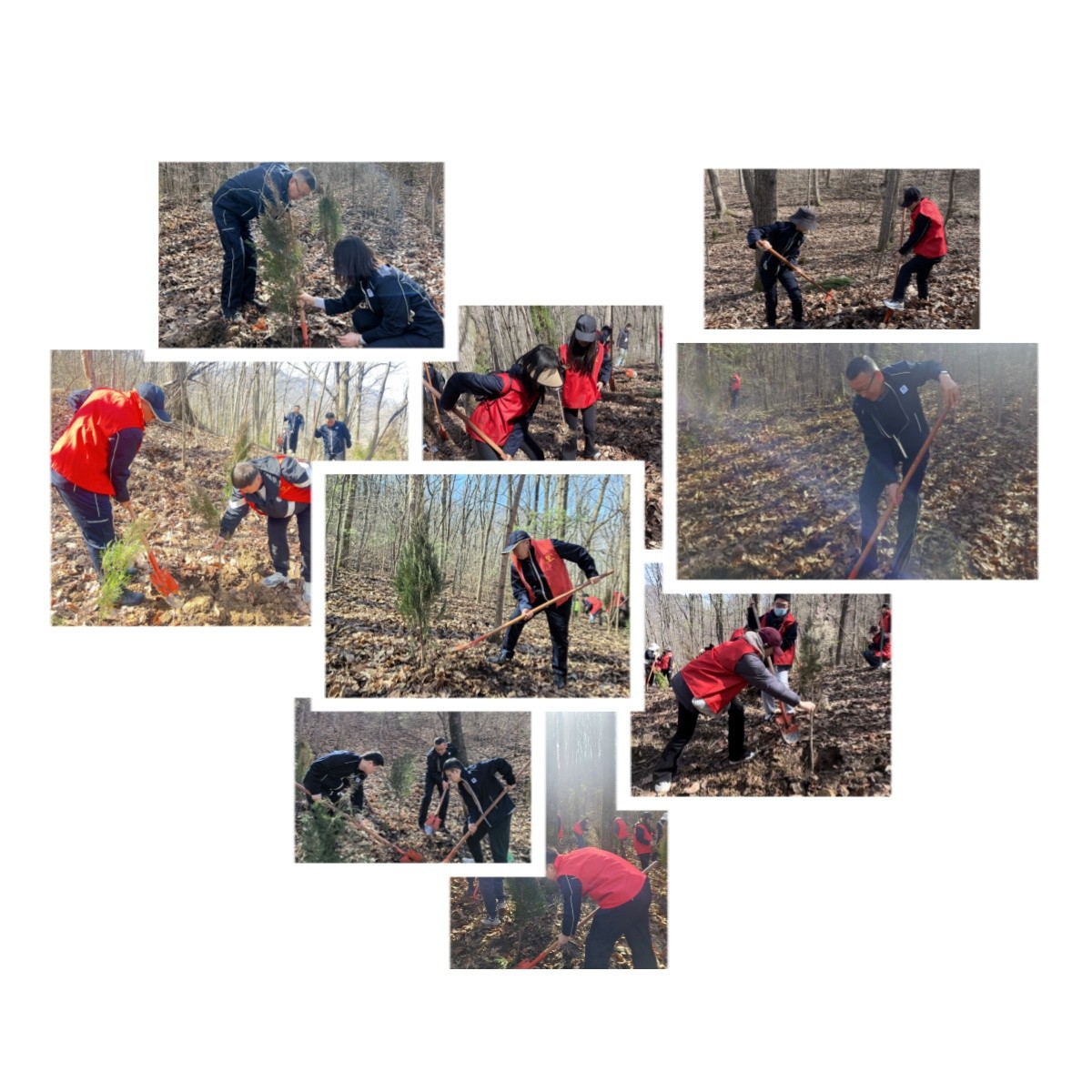 1710211027147684xWBq.jpg 植樹活動現場.jpg